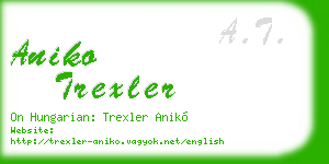 aniko trexler business card